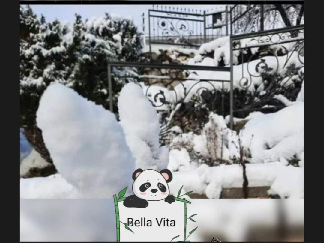 Apartman Bella Vita Колашин Номер фото